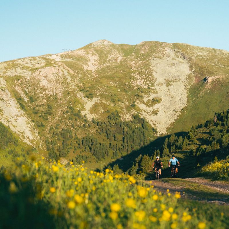 Zwei Radfahrer auf einem Bergpfad im Salzburger Lungau, umgeben von blühenden Wiesen und einem grünen Berghang.