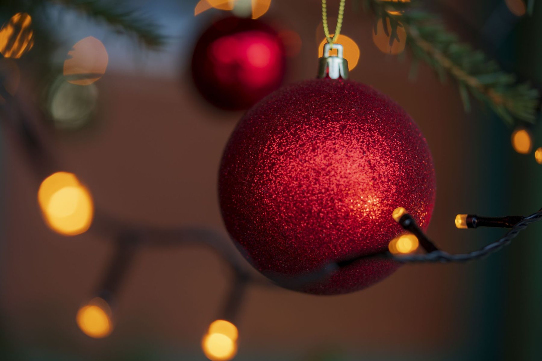 Rote Weihnachtskugel und Lichterkette an einem Tannenzweig, unscharfer Hintergrund.