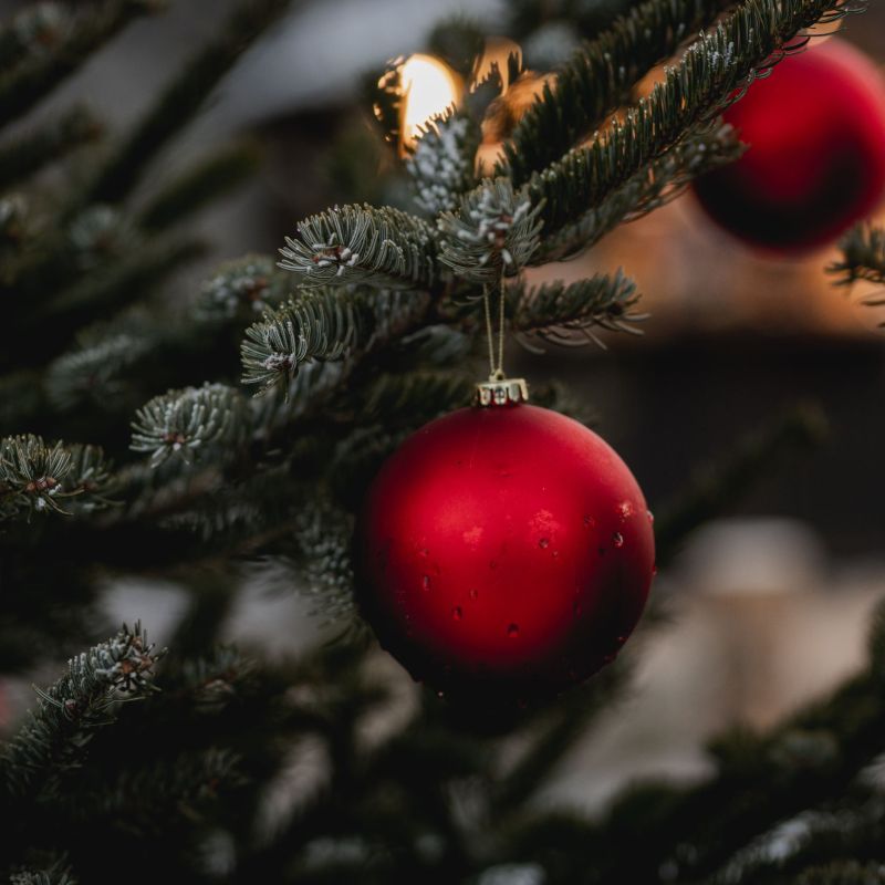 Rote Christbaumkugel hängt an einem Tannenzweig, im Hintergrund unscharfe Lichter.