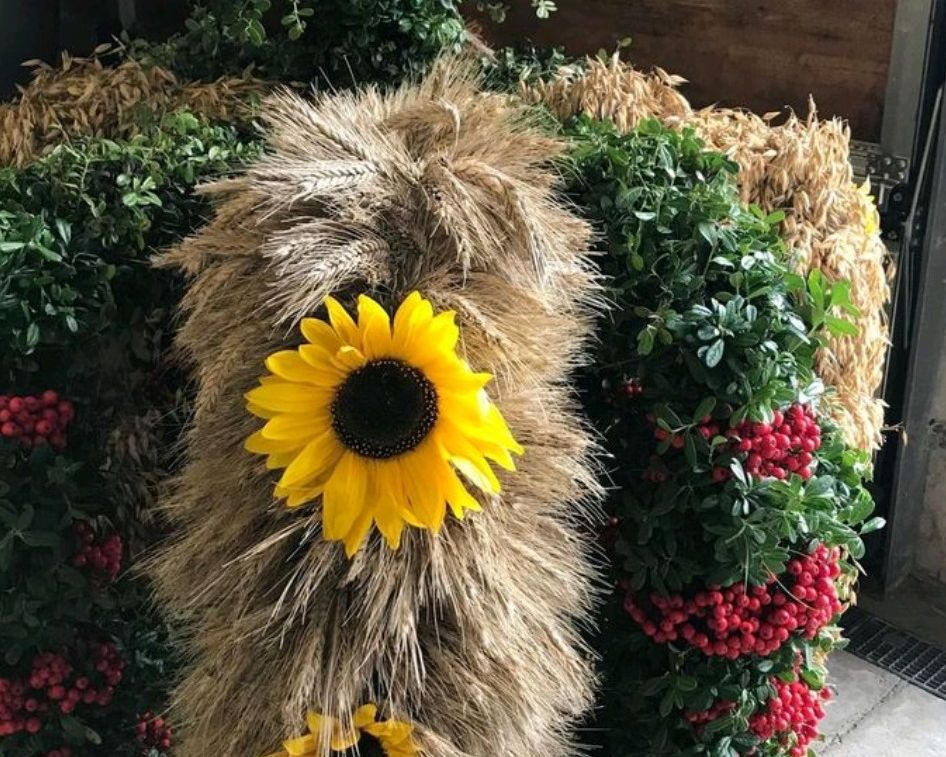 Erntedankkrone aus Getreide, Sonnenblumen, grünem Laub und roten Beeren, im Salzburger Lungau gefertigt.